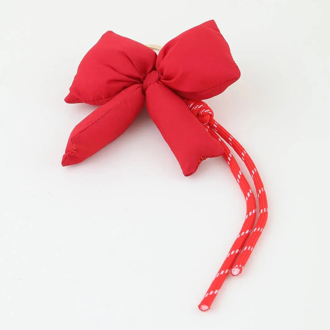 Chic Ribbon Tassel Bag Charm