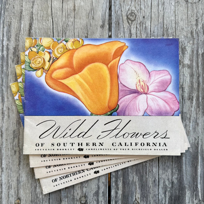 7 Vintage 1930s RICHFIELD GASOLINE DEALER Wild Flower Booklet CA & Pacific NW