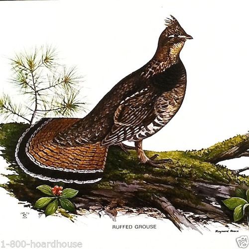 BIRDS ART LITHOGRAPH Prints 1920s
