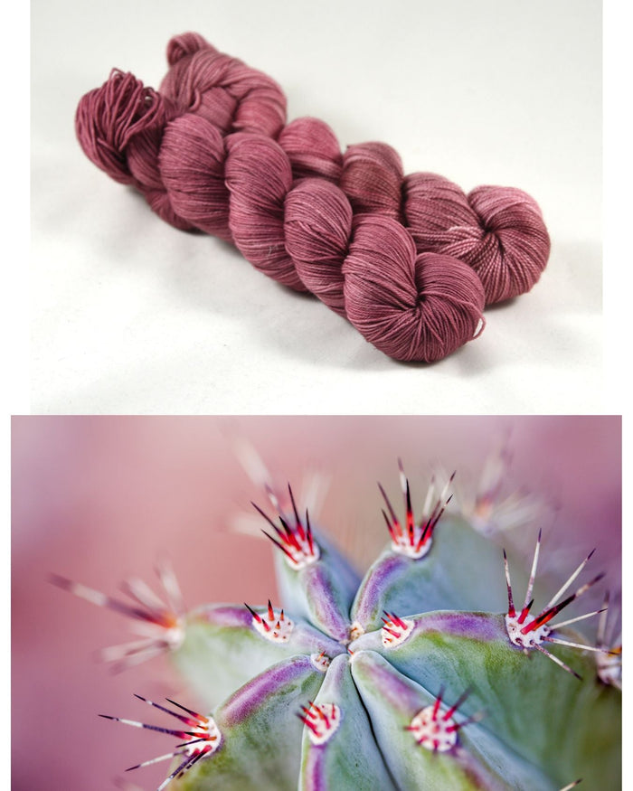 Destination Yarn fingering weight yarn Cactus Bloom