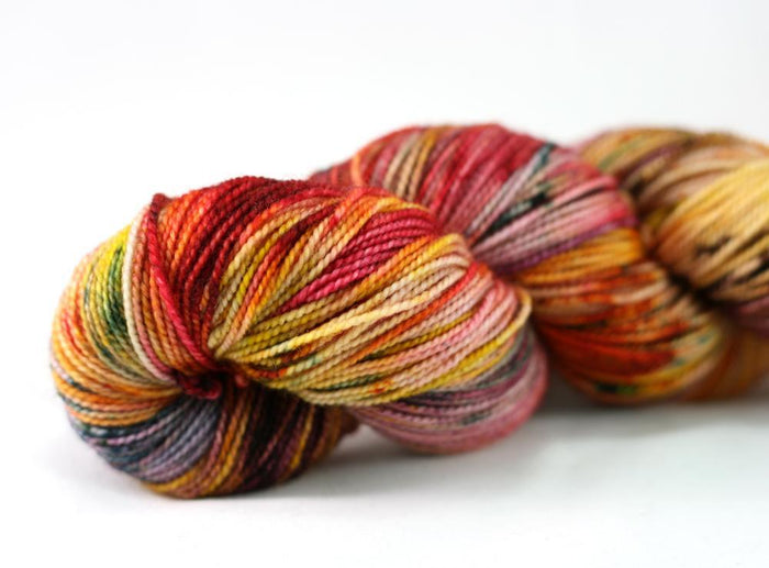 Destination Yarn fingering weight yarn FALL RUN