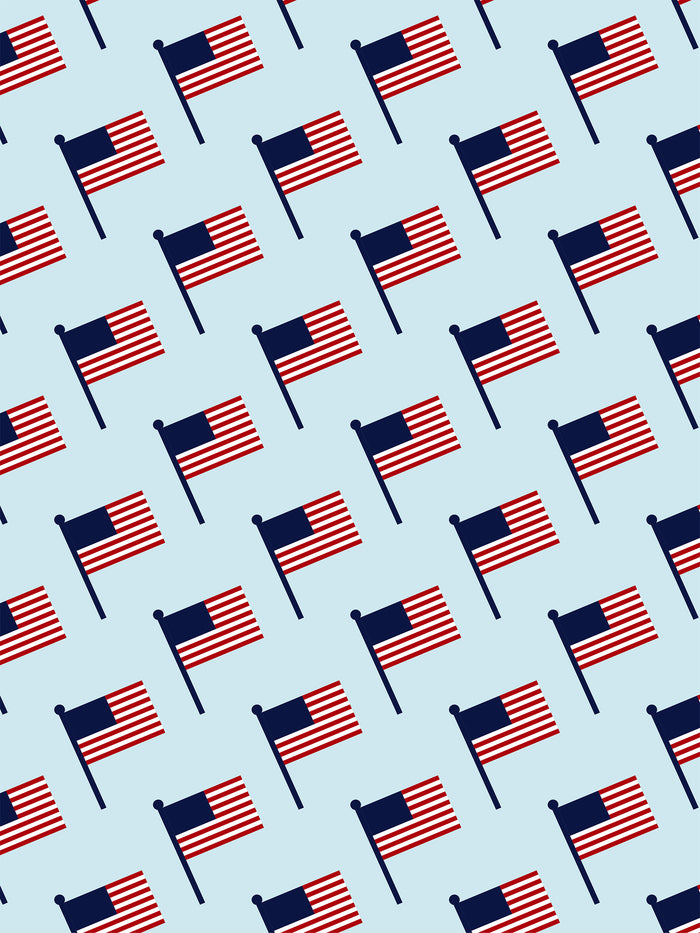 FREEDOM CELEBRATION MICROFIBER - HAND TOWEL