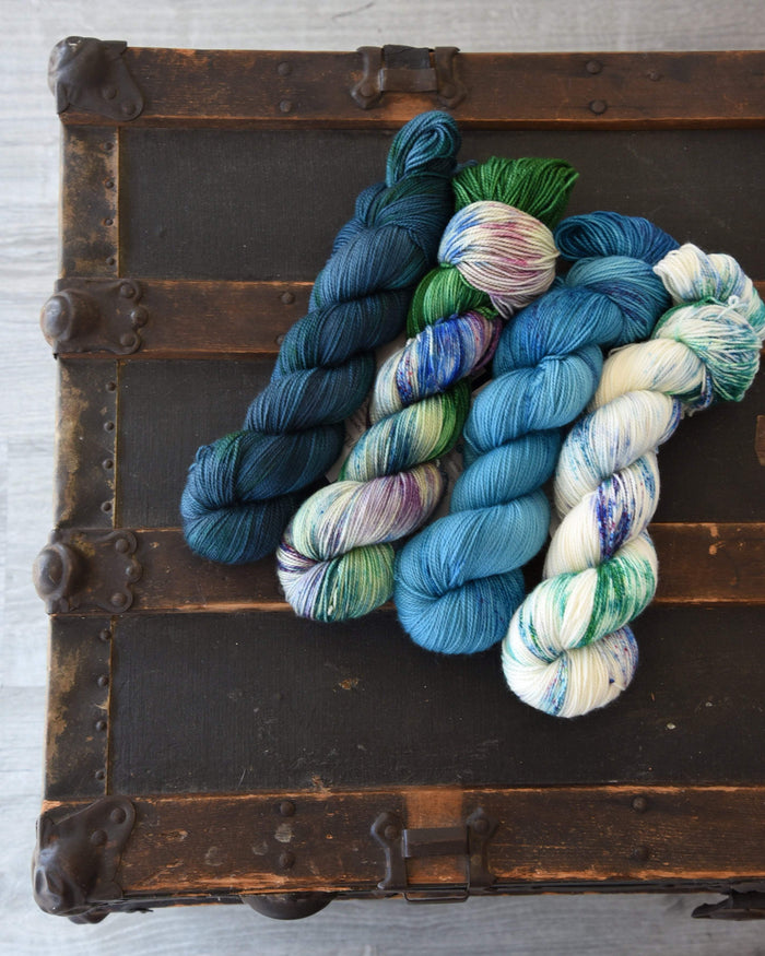 Destination Yarn fingering weight yarn Hometown Collection Full Skein Set - City Park