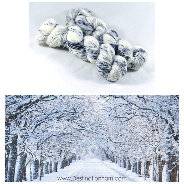 Destination Yarn fingering weight yarn NOR'EASTER