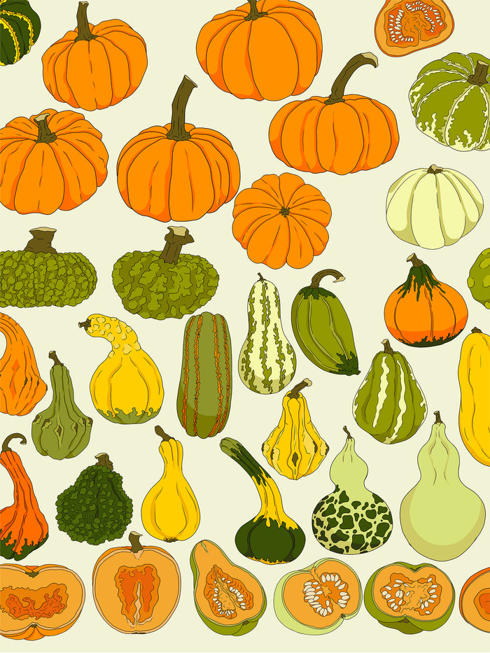 OH MY GOURDS MICROFIBER - HAND TOWEL