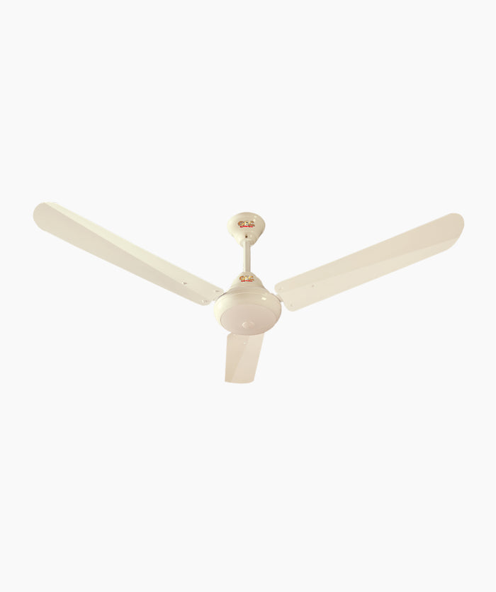Ravi DC 12Volt Only