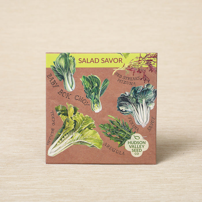 Salad Savor Mix, 500 seeds