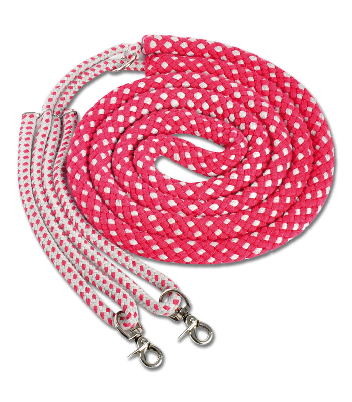 Waldhausen Lunging Aid- Red/Grey